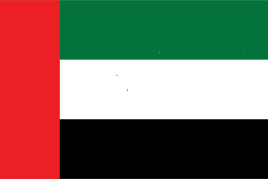 United Arab Emirates flag
