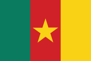 Cameroon flag