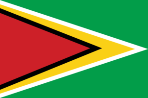 Guyana flag