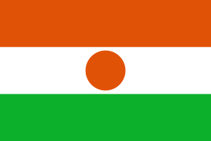 Niger flag