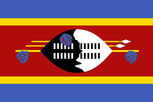 Eswatini flag